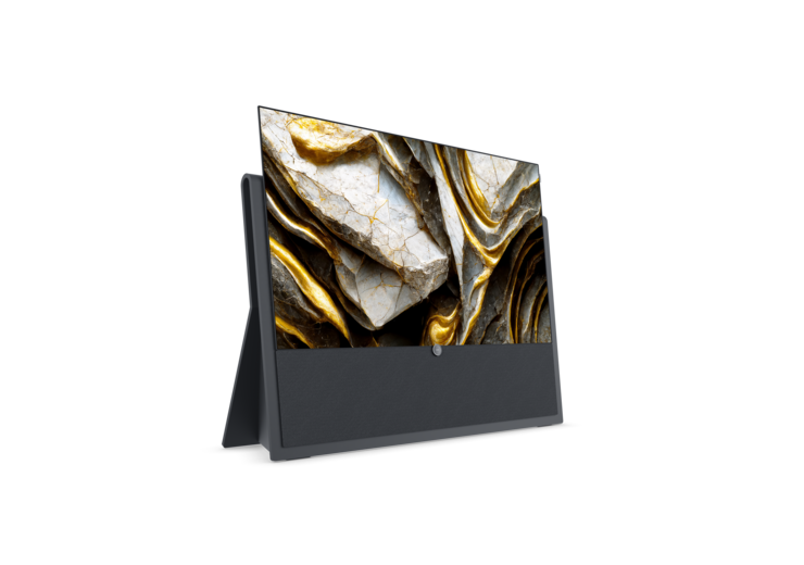 Loewe iconic v.55